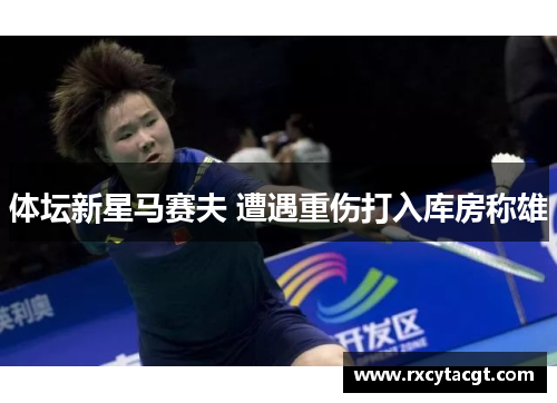 体坛新星马赛夫 遭遇重伤打入库房称雄